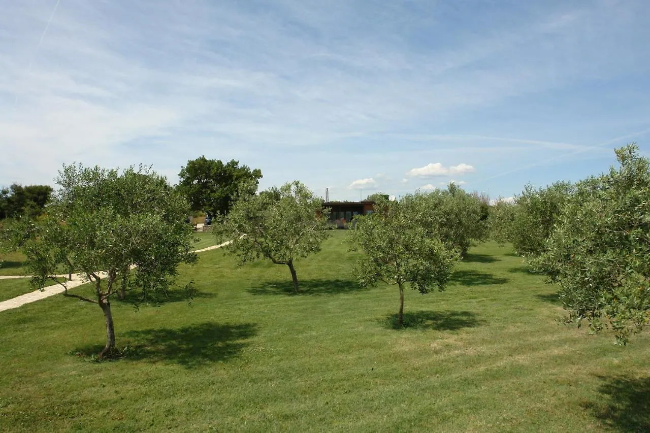 Holiday home Beach House Beta With Pool, Jacuzzi, Playground & Bbq In An Olive Grove With A Beach, Pomer - Istria