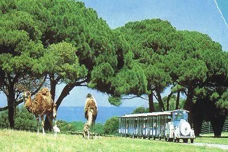 Beach House Beta With Pool, Jacuzzi, Playground & Bbq In An Olive Grove With A Beach, Pomer - Istria Holiday home