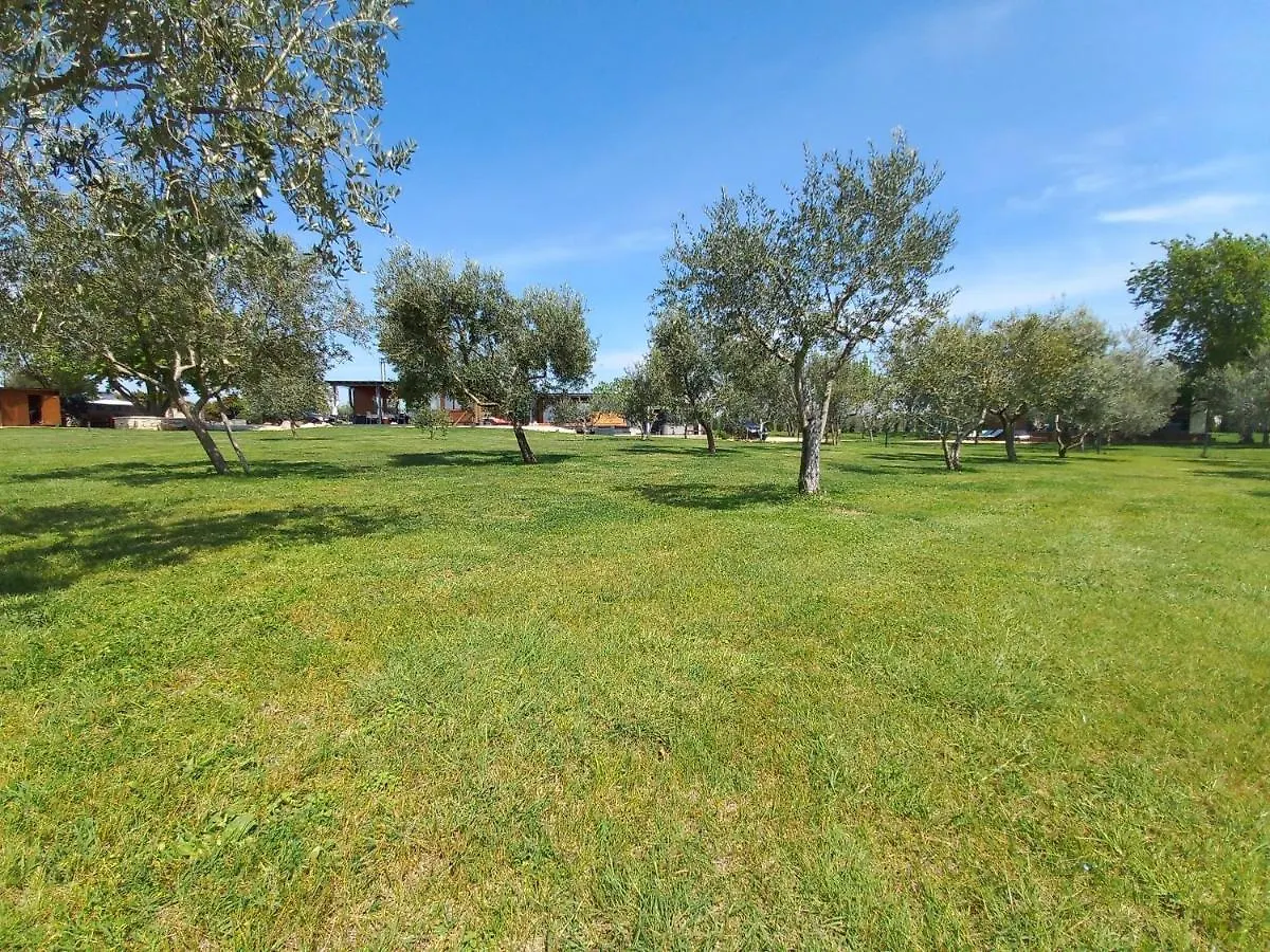 Beach House Beta With Pool, Jacuzzi, Playground & Bbq In An Olive Grove With A Beach, Pomer - Istria