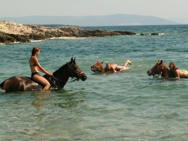 Holiday home Beach House Beta With Pool, Jacuzzi, Playground & Bbq In An Olive Grove With A Beach, Pomer - Istria